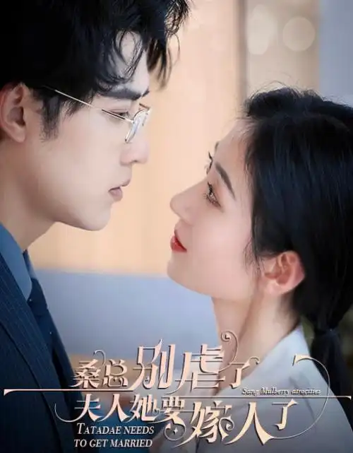 城南旧事簿 热播电视剧全集手机观看